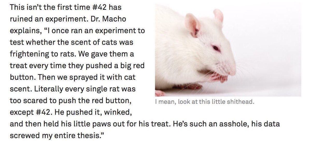 mouse - This isn't the first time has ruined an experiment. Dr. Macho explains, "I once ran an experiment to test whether the scent of cats was frightening to rats. We gave them a treat every time they pushed a big red button. Then we sprayed it with cat 