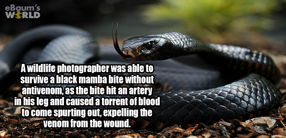 21 Fascinating Facts That Will Scare Away Your Ignorance