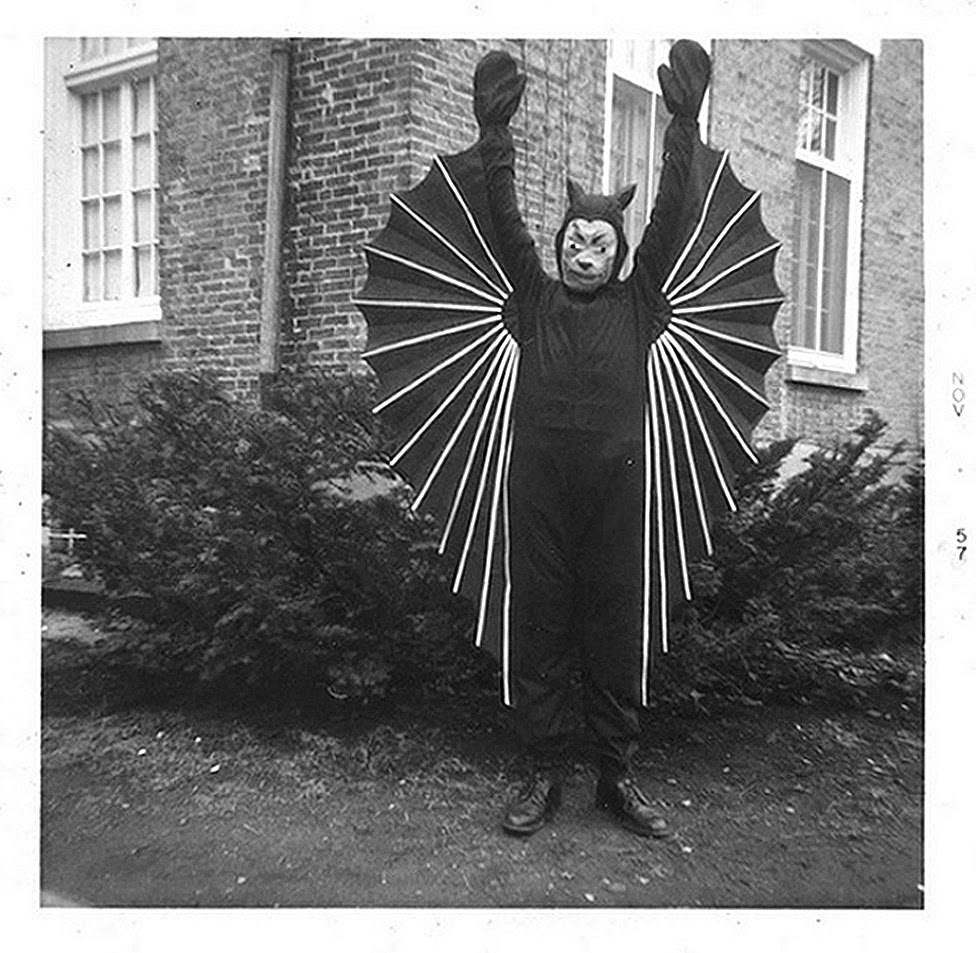 vintage halloween bat costume