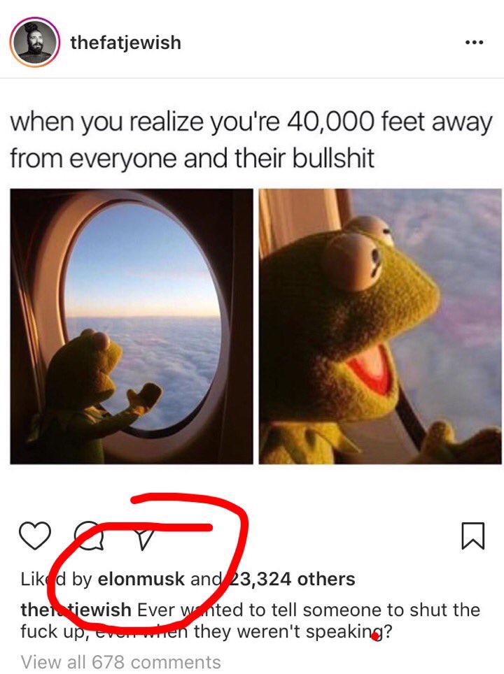Elon Musk Gets Called Out After Liking A Kermit The Frog Meme
