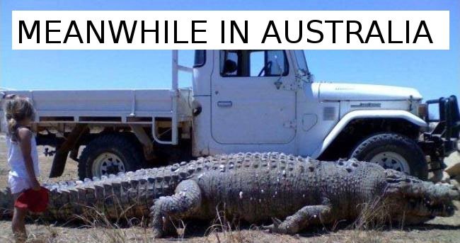 26 Meanwhile In Australia Pics That Will Make You Wanna Get Pissed Drunk And Fight A Koala Bear