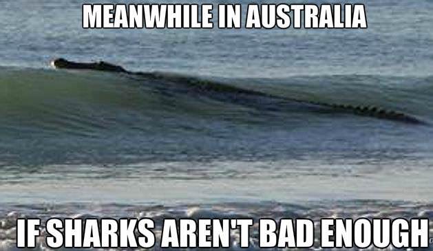 26 Meanwhile In Australia Pics That Will Make You Wanna Get Pissed Drunk And Fight A Koala Bear