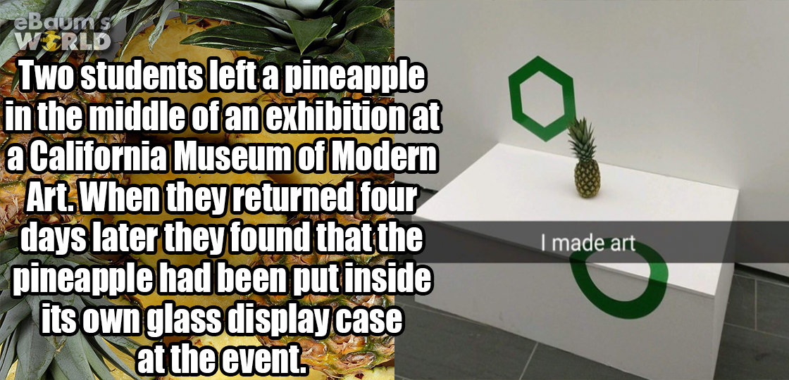 tree - Two students left a pineapple in the middle of an exhibition at a California Museum of Modern Art. When they returned four days later they found that the pineapple had been put inside its own glass display case at the event. 39 I made art