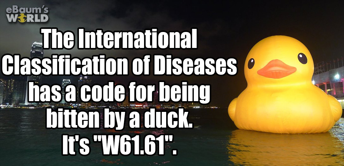 duck - eBaum's World The International Classification of Diseases has a code for being bitten by a duck. It's "W61.61".