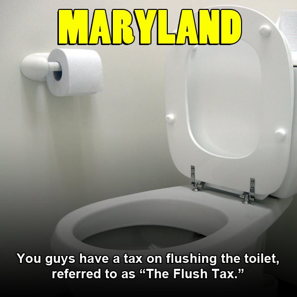 cat comedy - Maryland You guys have a tax on flushing the toilet, referred to as "The Flush Tax."