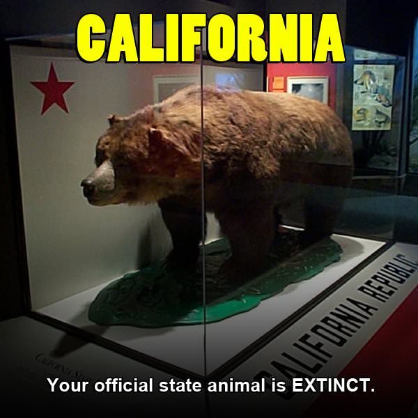 history of california - California Your official state animal is Extinct.