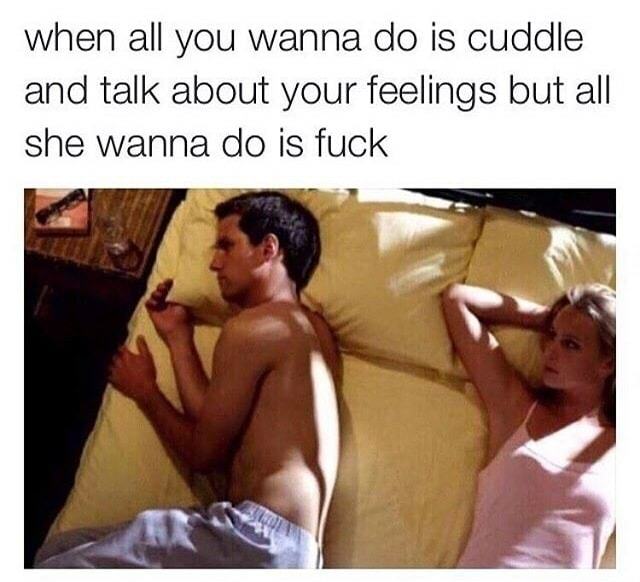 memes - he just wants to cuddle meme - when all you wanna do is cuddle and talk about your feelings but all she wanna do is fuck
