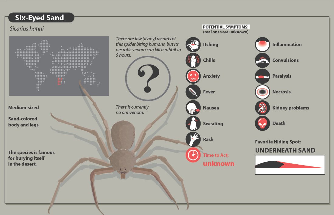 A Quick Guide To Spider Bites That Might Save Your Life