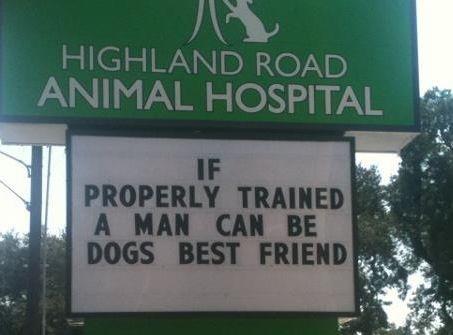 18 Hilarious Vet Clinic Signs That Will have You in Stitches