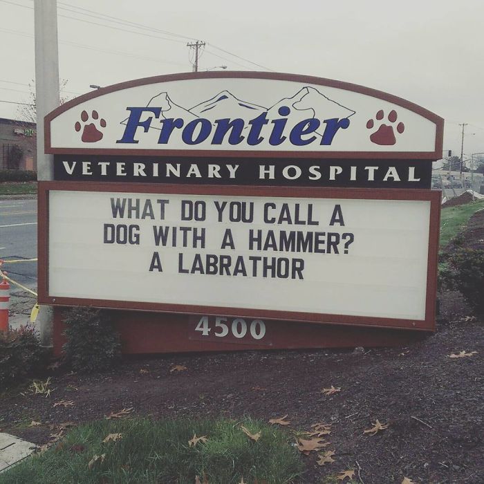 18 Hilarious Vet Clinic Signs That Will have You in Stitches