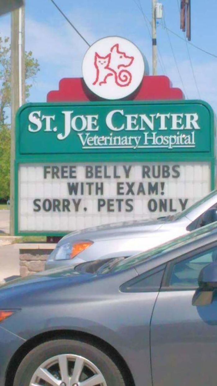 18 Hilarious Vet Clinic Signs That Will have You in Stitches