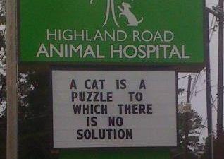 18 Hilarious Vet Clinic Signs That Will have You in Stitches