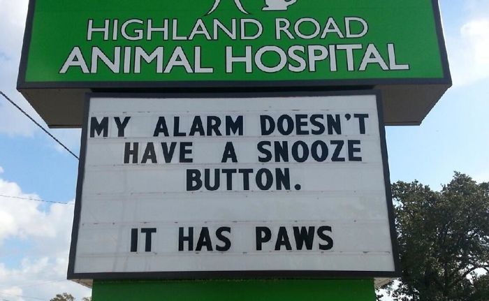 18 Hilarious Vet Clinic Signs That Will have You in Stitches