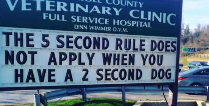 18 Hilarious Vet Clinic Signs That Will have You in Stitches