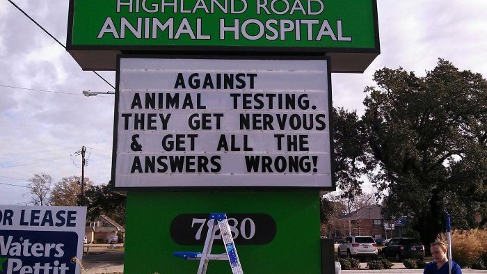 18 Hilarious Vet Clinic Signs That Will have You in Stitches