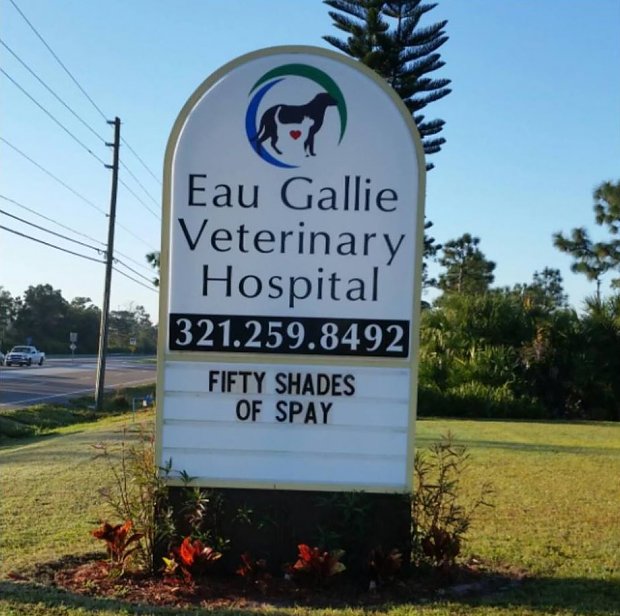 18 Hilarious Vet Clinic Signs That Will have You in Stitches