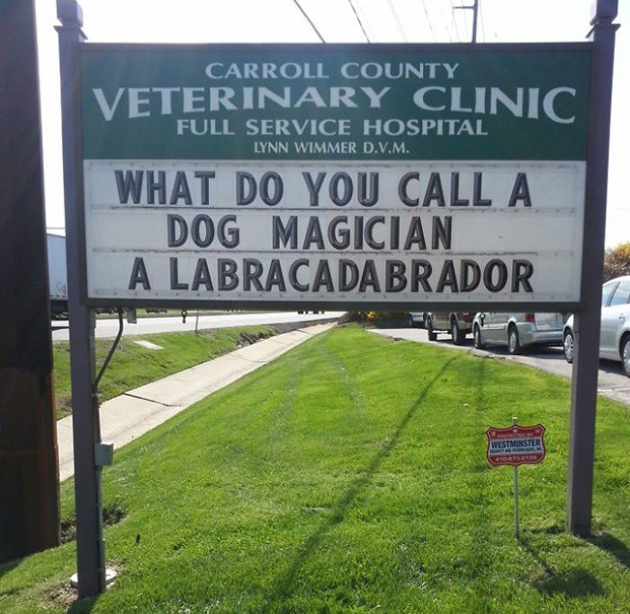 18 Hilarious Vet Clinic Signs That Will have You in Stitches