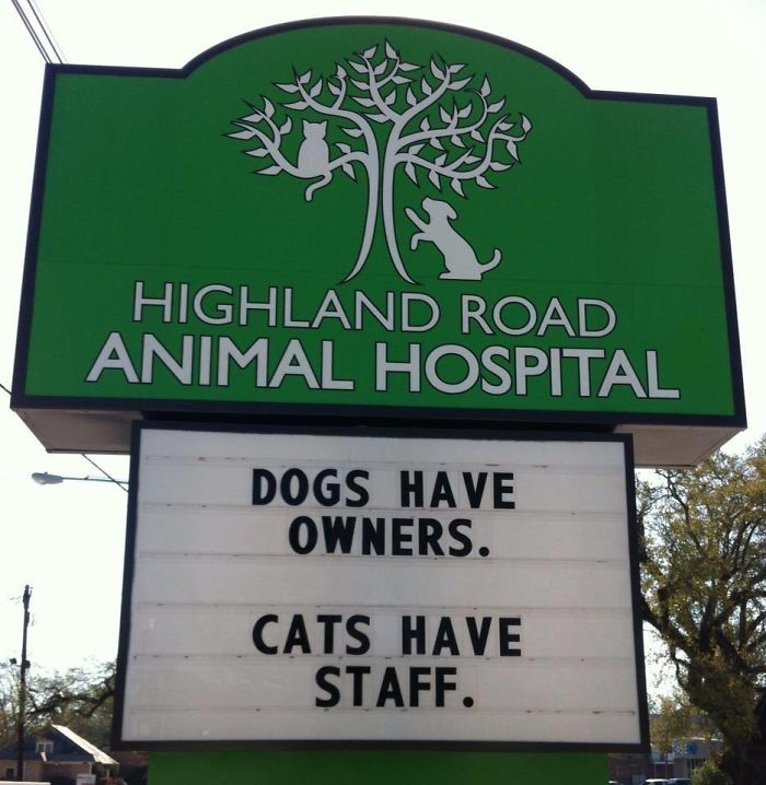 18 Hilarious Vet Clinic Signs That Will have You in Stitches