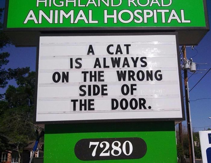 18 Hilarious Vet Clinic Signs That Will have You in Stitches