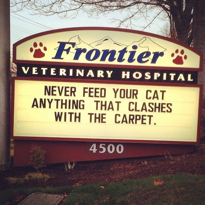 18 Hilarious Vet Clinic Signs That Will have You in Stitches