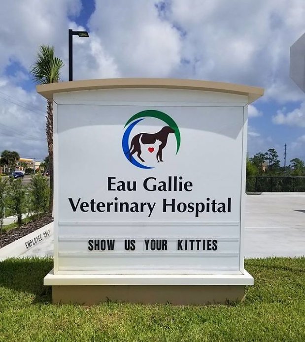 18 Hilarious Vet Clinic Signs That Will have You in Stitches