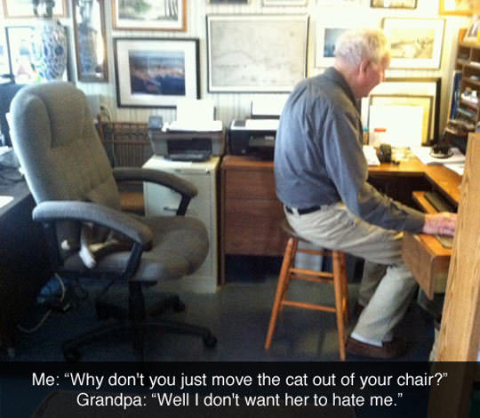cat i don t want her to hate me - Me "Why don't you just move the cat out of your chair?" Grandpa "Well I don't want her to hate me."