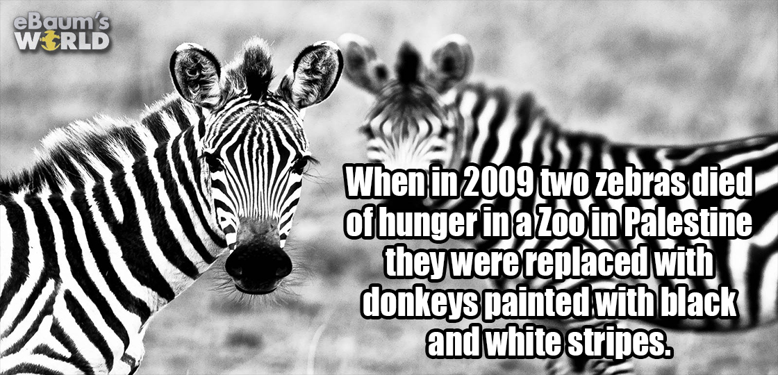 22 Fascinating Facts That Will Entertain Your Brain