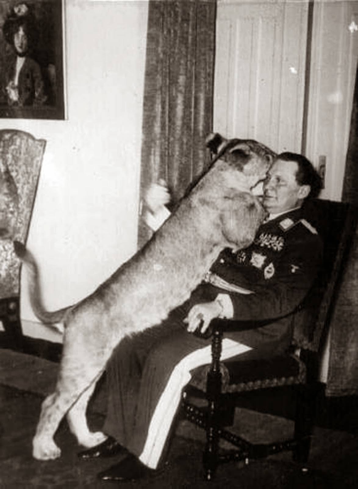 Hermann Göring with his pet lion at his home in Germany in 1936. Göring and his wife actually had a few lions as well as other exotic animals that they raised themselves, and spent a fortune feeding them at his home in their own small little zoo. He even helped protect endangered wild life during the war. He spent tons of money ensuring certain animals survival during WWII like the Polish Bison, something he never did for any people including his own.