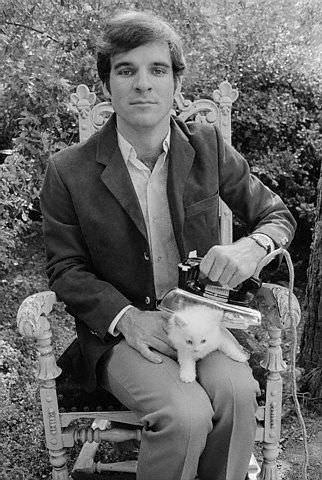 Steve Martin. And yes, he does appear to be ironing that kitten.