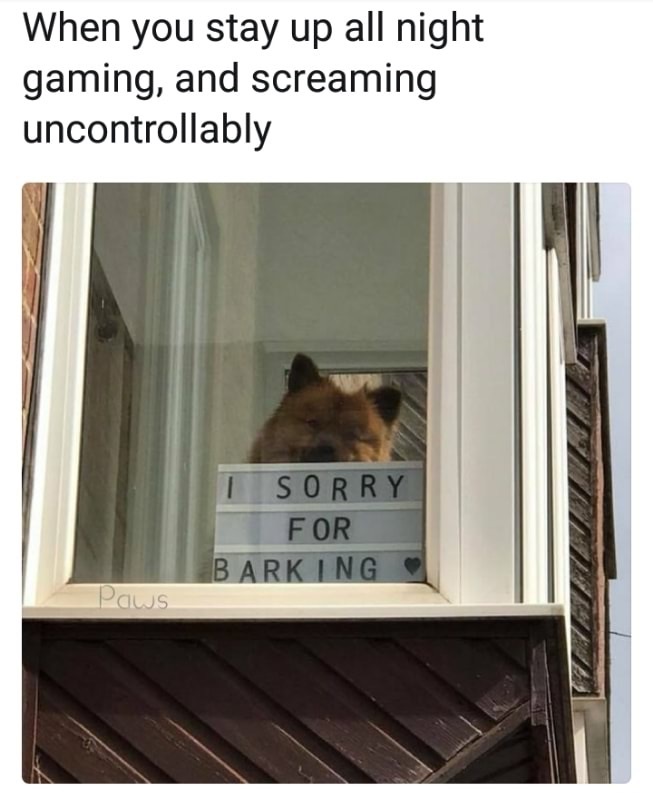 funny gaming memes - sorry for barking meme - When you stay up all night gaming, and screaming uncontrollably | Sorry For Barking Paws