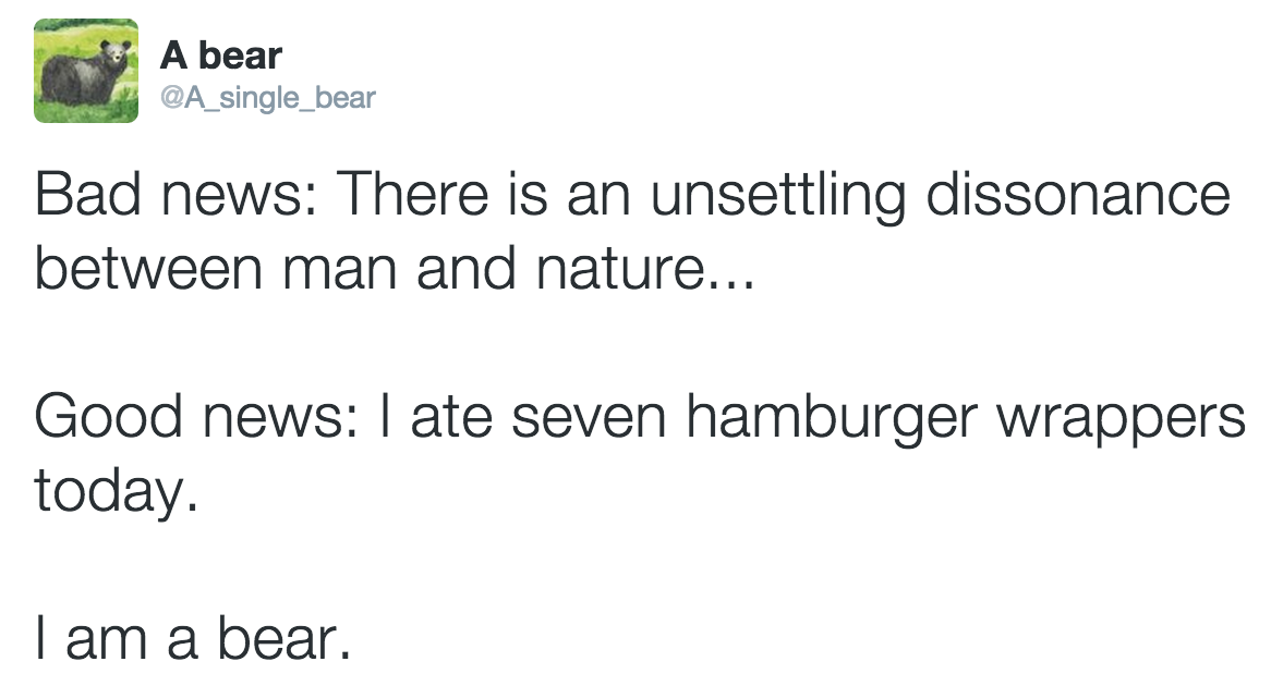 angle - A bear Bad news There is an unsettling dissonance between man and nature... Good news I ate seven hamburger wrappers today. Tam a bear.