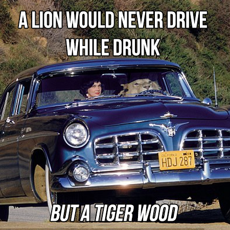 elliott erwitt california 1956 - A Lion Would Never Drive While Drunk Hdj 287 But A Tiger Wood