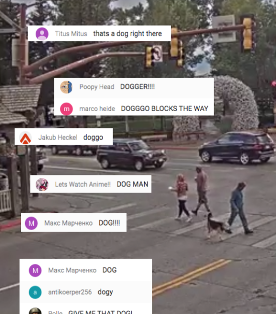 People Love Watching This Live Feed Of Jackson Hole's Town Square 