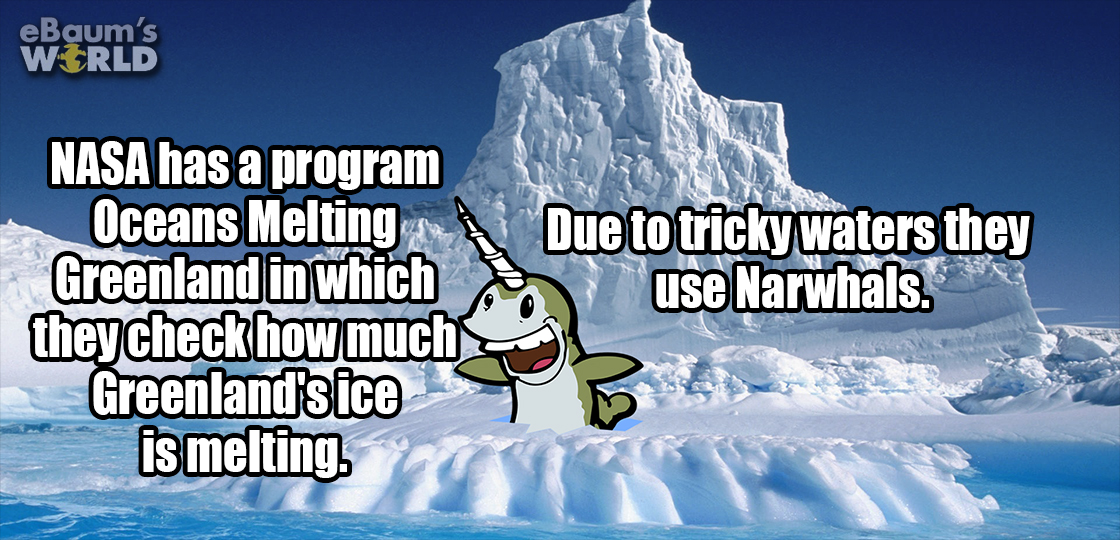 arctic - eBaum's World Nasa has a program Oceans Melting Greenland in which they check how much Greenland's ice is melting. Due to tricky waters they use Narwhals. 9