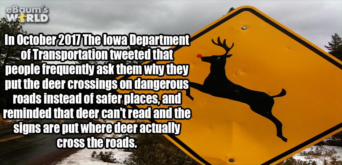 dexter - eBaum's World In The lowa Department of Transportation tweeted that people frequently ask them why they put the deer crossings on dangerous roads instead of safer places, and reminded that deer can't read and the signs are put where deer actually