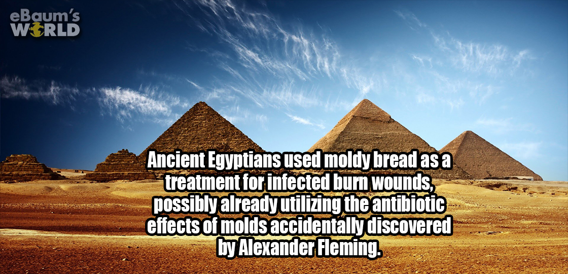 pyramid - eBaum's Werld Ancient Egyptians used moldy bread as a treatment for infected burn wounds, possibly already utilizing the antibiotic effects of molds accidentally discovered by Alexander Fleming.