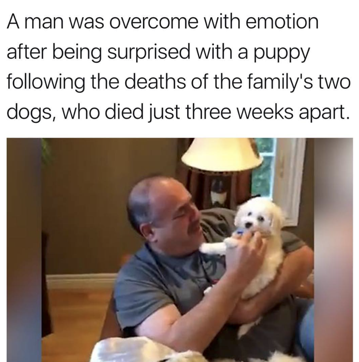 photo caption - A man was overcome with emotion after being surprised with a puppy ing the deaths of the family's two dogs, who died just three weeks apart.