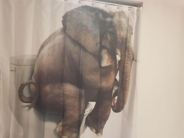 26 Shower Curtains That Will Make You Stay In There Forever