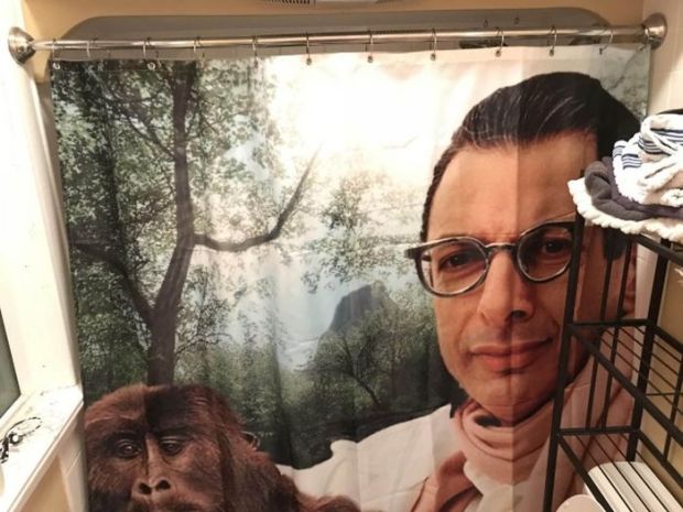 26 Shower Curtains That Will Make You Stay In There Forever