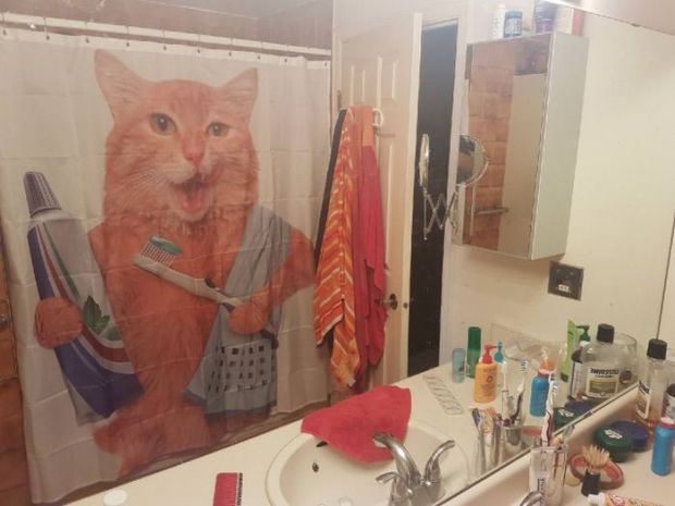 26 Shower Curtains That Will Make You Stay In There Forever