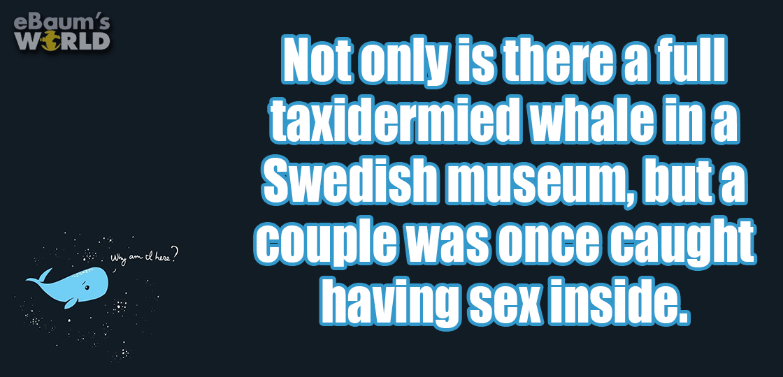 22 Fascinating Facts That Will Pique Your Interest
