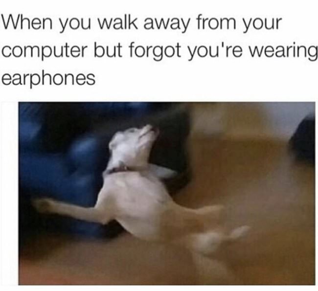 insanely funny memes - When you walk away from your computer but forgot you're wearing earphones