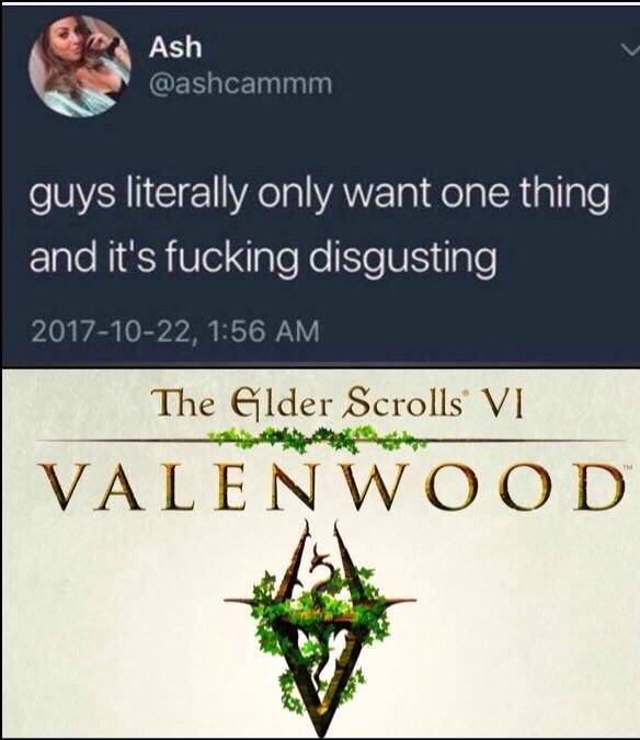 want to feel good about myself - Ash guys literally only want one thing and it's fucking disgusting , The Elder Scrolls Vi Valenwood