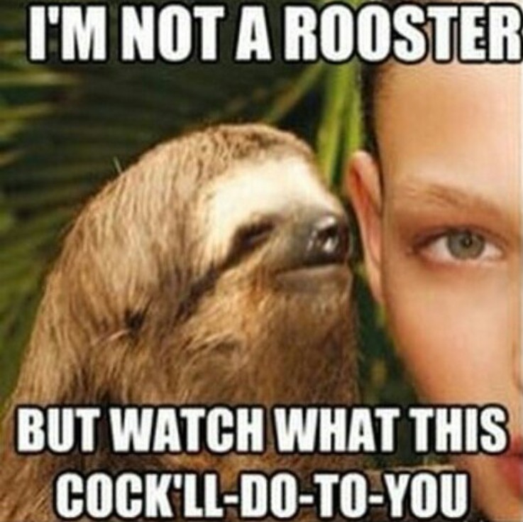 Dirty meme of the dirty sloth whisperer