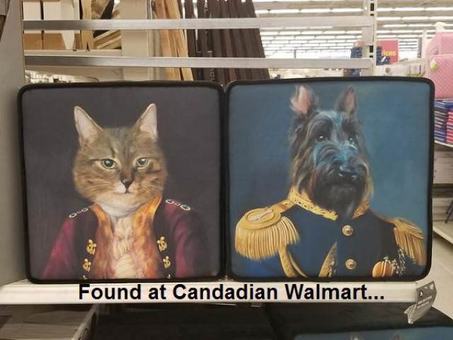 canada photo caption - Le Found at Candadian Walmart...