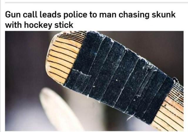 canada brush - Gun call leads police to man chasing skunk with hockey stick