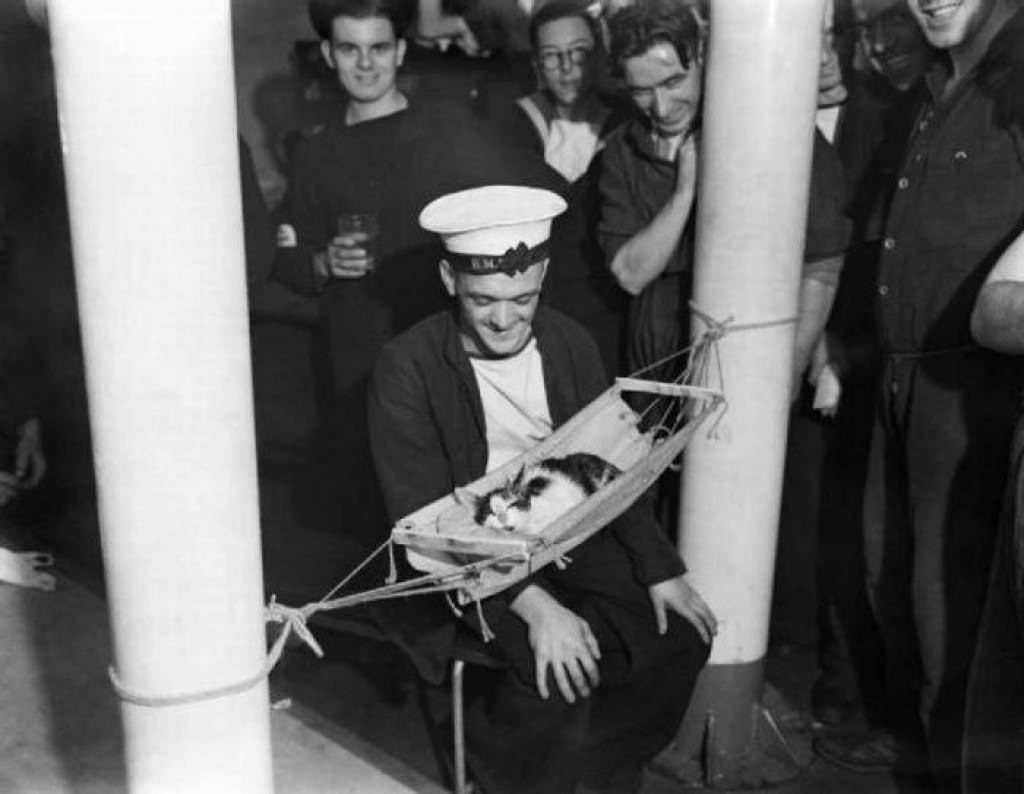 Russia sailors surround a sleeping kitten, 1941.