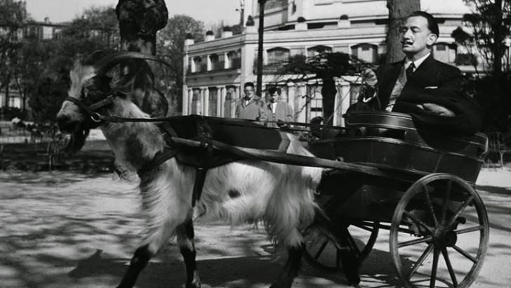 Salvador Dali In A Goat-Drawn Carriage (1953)