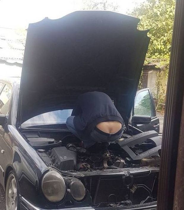 19 Surprising Things You Can Find Under Your Hood In The Winter