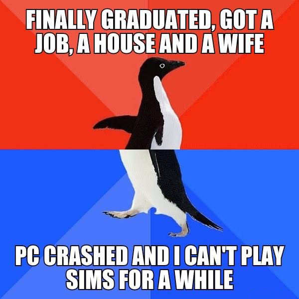 meme socially awkward penguin - Finally Graduated. Gota Job, A House And A Wife Pc Crashed And I Can'T Play Sims For A While